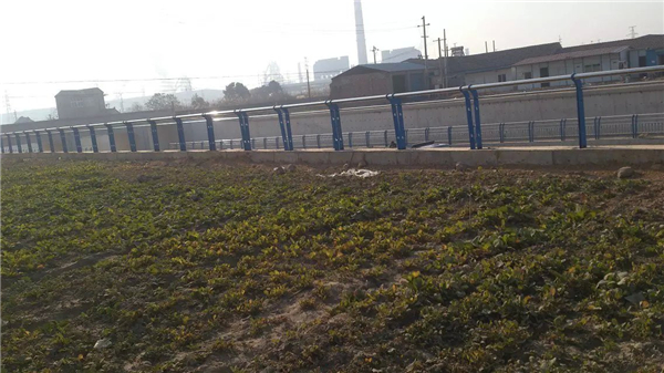 郑州不锈钢河道护栏